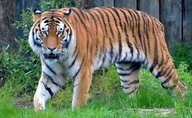ZOO Hodonín